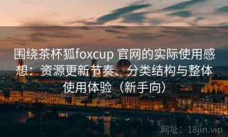 围绕茶杯狐foxcup 官网的实际使用感想：资源更新节奏、分类结构与整体使用体验（新手向）