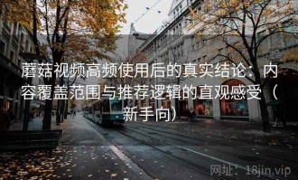 蘑菇视频高频使用后的真实结论：内容覆盖范围与推荐逻辑的直观感受（新手向）