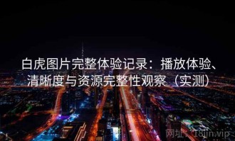 白虎图片完整体验记录：播放体验、清晰度与资源完整性观察（实测）
