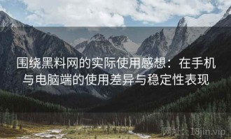 围绕黑料网的实际使用感想：在手机与电脑端的使用差异与稳定性表现