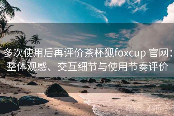 多次使用后再评价茶杯狐foxcup 官网：整体观感、交互细节与使用节奏评价