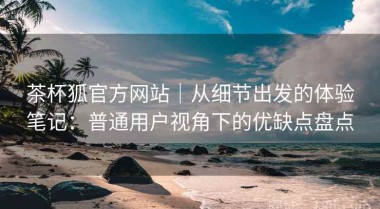 茶杯狐官方网站｜从细节出发的体验笔记：普通用户视角下的优缺点盘点