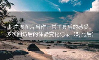 把白虎图片当作日常工具后的感受：多次回访后的体验变化记录（对比后）