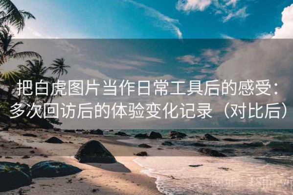 把白虎图片当作日常工具后的感受：多次回访后的体验变化记录（对比后）