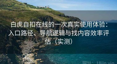 白虎自扣在线的一次真实使用体验：入口路径、导航逻辑与找内容效率评估（实测）