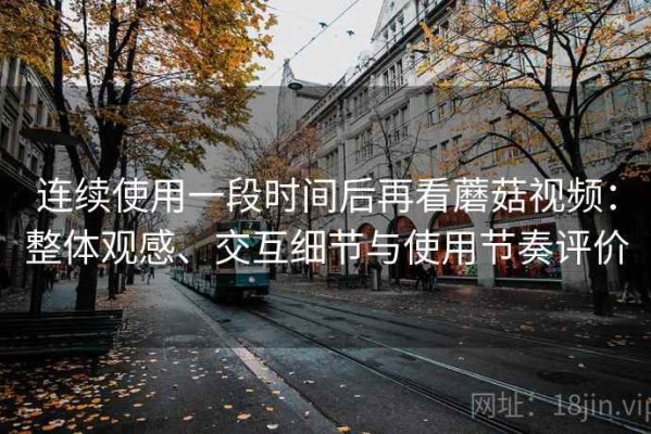连续使用一段时间后再看蘑菇视频：整体观感、交互细节与使用节奏评价