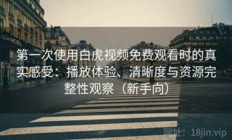 第一次使用白虎视频免费观看时的真实感受：播放体验、清晰度与资源完整性观察（新手向）