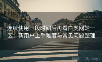 连续使用一段时间后再看白虎网站一区：新用户上手难度与常见问题整理
