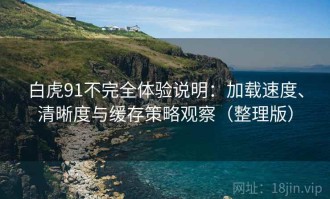 白虎91不完全体验说明：加载速度、清晰度与缓存策略观察（整理版）