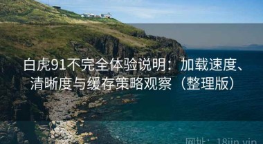 白虎91不完全体验说明：加载速度、清晰度与缓存策略观察（整理版）