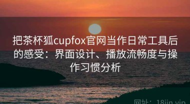 把茶杯狐cupfox官网当作日常工具后的感受：界面设计、播放流畅度与操作习惯分析