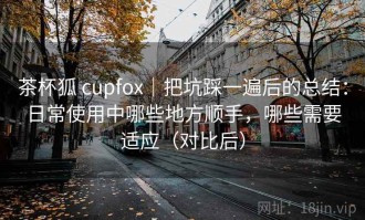 茶杯狐 cupfox｜把坑踩一遍后的总结：日常使用中哪些地方顺手，哪些需要适应（对比后）