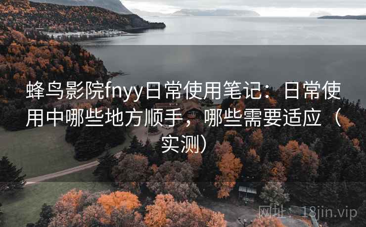 蜂鸟影院fnyy日常使用笔记：日常使用中哪些地方顺手，哪些需要适应（实测）