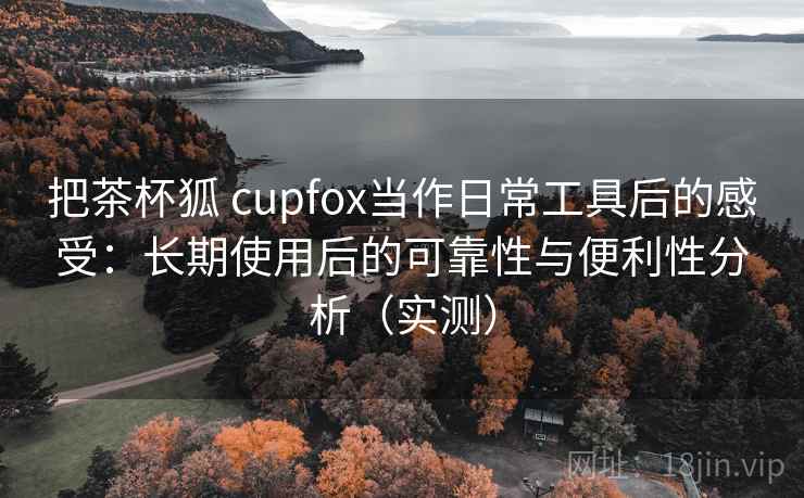 把茶杯狐 cupfox当作日常工具后的感受:长期使用后的可靠性与便利性分析(实测) 把茶杯狐 cupfox当作日常工具后的感受:长期使用后的可靠性与便利性分析(实测)