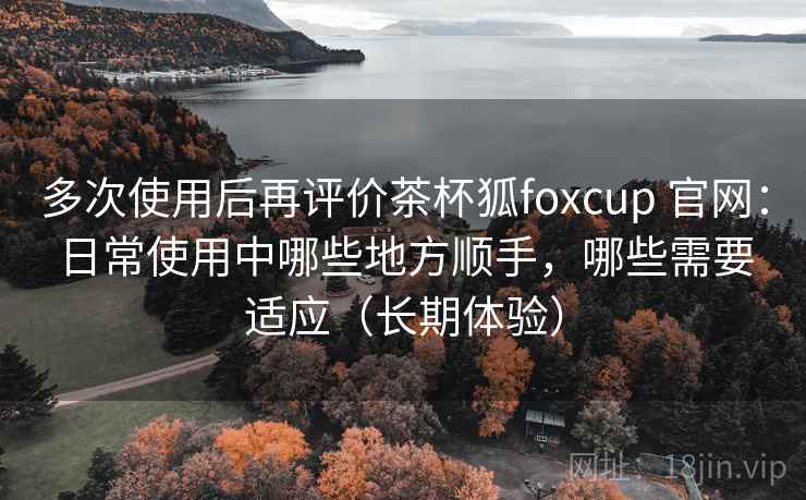 多次使用后再评价茶杯狐foxcup 官网：日常使用中哪些地方顺手，哪些需要适应（长期体验）