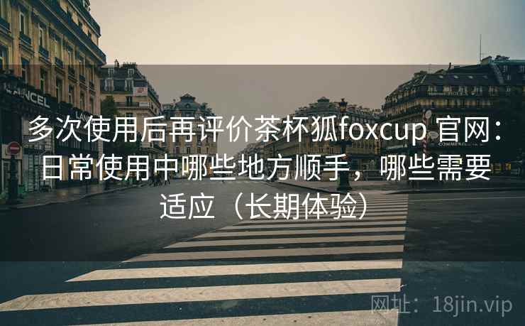 多次使用后再评价茶杯狐foxcup 官网：日常使用中哪些地方顺手，哪些需要适应（长期体验）