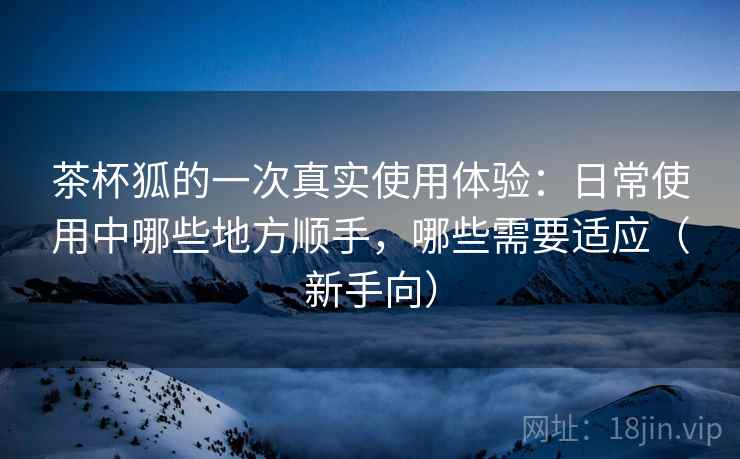 茶杯狐的一次真实使用体验:日常使用中哪些地方顺手,哪些需要适应(新手向) 茶杯狐的一次真实使用体验:日常使用中哪些地方顺手,哪些需要适应(新手向)