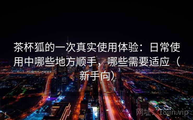 茶杯狐的一次真实使用体验:日常使用中哪些地方顺手,哪些需要适应(新手向) 茶杯狐的一次真实使用体验:日常使用中哪些地方顺手,哪些需要适应(新手向)