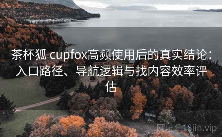 茶杯狐 cupfox高频使用后的真实结论：入口路径、导航逻辑与找内容效率评估