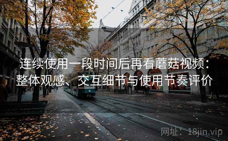 连续使用一段时间后再看蘑菇视频：整体观感、交互细节与使用节奏评价